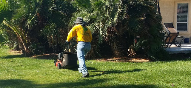 Southern Nevada Landscape Maintenance Services