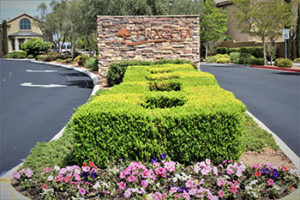 Las Vegas Landscaper