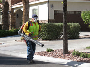 Yard Maintenance Las Vegas